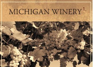 How to Read a Wine Label A wine label with markings that identify how to read it properly