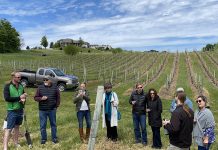 How PIWI Grapes Could Impact the Michigan Wine Scene A PIWI grapevine planting takes place at Chateau Chantal in May 2021.